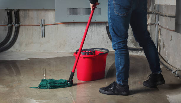 Best Residential water damage restoration  in Dana, NC