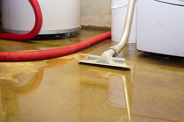 Best Flood restoration services  in Dana, NC