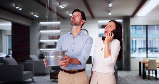 Best Emergency water damage restoration  in Dana, NC